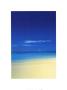 Barbuda by Chris Simpson Limited Edition Print