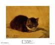 Pretty Kitten by Henriette Ronner-Knip Limited Edition Pricing Art Print