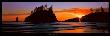 Olympic National Park, Washington State by Alain Thomas Limited Edition Print