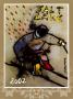 Down Hill Skier by Cristobal Gabarron Limited Edition Pricing Art Print