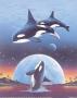 Orcas Over Moon by Alan Metz Limited Edition Pricing Art Print