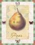 Bosc Pear I by Walter Robertson Limited Edition Print