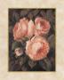 Venetian Roses I by Sylvia Bogani Limited Edition Print