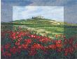 Glimpse Of Tuscany Ii by Alessandro Pante Limited Edition Print