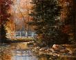 Foot Bridge In The Woods by T. C. Chiu Limited Edition Pricing Art Print