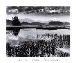 Oseetah Lake Morning by Richard Nowicki Limited Edition Pricing Art Print