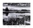 Oseetah Lake Morning by Richard Nowicki Limited Edition Print