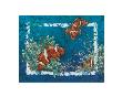 Clownfish by Sue Duda Limited Edition Print