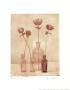 Anemones I by Amy Melious Limited Edition Print