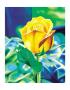 Yellow Rose by G. Monseler Limited Edition Print