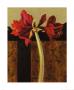 Amaryllis And French Screen Ii by Shirley Novak Limited Edition Pricing Art Print