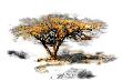 Trees Alive Ii by Ynon Mabet Limited Edition Print