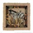 Zebra by Linn Done Limited Edition Pricing Art Print
