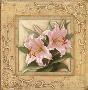 Pretty In Pink Lilies by Igor Levashov Limited Edition Print