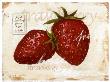 Strawberry by Steff Green Limited Edition Print