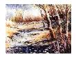 Peaceful Stream by Paul Mathenia Limited Edition Print