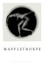 Robert Mapplethorpe Pricing Limited Edition Prints