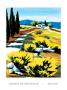 Genets De Provence by Joanny Limited Edition Print