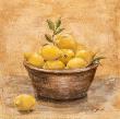 Still Lemons by Gisela Henrichs-Harke Limited Edition Print