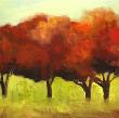 Fall Orchard Ii by Virginia Dauth Limited Edition Print