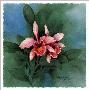 Radiant Blooms I by Carolyn Shores-Wright Limited Edition Print