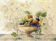 Fruit by Caroline Caron Limited Edition Print