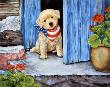 Porch Puppies Iv by Jane Maday Limited Edition Print