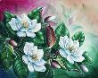 Southern Magnolia I by Lisa White Limited Edition Pricing Art Print