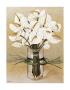 Fresh Antirinium by Galley Limited Edition Pricing Art Print