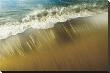 Ocean Shoreline by Angela Cameron Limited Edition Pricing Art Print