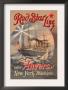 Red Star Cruise Line: Antwerp, New York, And Philadelphia by C. Satzmann Limited Edition Pricing Art Print