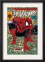 Todd Mcfarlane Pricing Limited Edition Prints