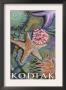 Kodiak, Alaska - Tidepool, C.2009 by Lantern Press Limited Edition Pricing Art Print