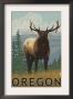 Elk Scene - Oregon, C.2009 by Lantern Press Limited Edition Print