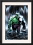 Incredible Hulk #77 Cover: Hulk by Lee Weeks Limited Edition Pricing Art Print