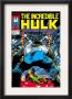 Incredible Hulk #339 Cover: Hulk by Todd Mcfarlane Limited Edition Print