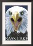 Bass Lake, California - Eagle Up Close, C.2008 by Lantern Press Limited Edition Pricing Art Print