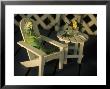 Green Iguana Sitting In Adirondak Chair by Jacque Denzer Parker Limited Edition Print