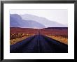 Henryk T. Kaiser Pricing Limited Edition Prints