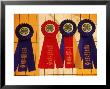 Ribbons For Competition, 4-H Fair, Chester, Nj by Jeff Greenberg Limited Edition Pricing Art Print