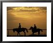 Silhouetted Men Riding On Horses, Dubai, Uae by Henry Horenstein Limited Edition Print