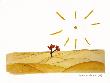 The Rose by Antoine De Saint-Exupery Limited Edition Pricing Art Print