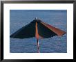 Umbrella By A Lake by Keith Levit Limited Edition Print