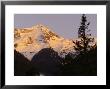 Nature Trails In British Columbia, Canada by Keith Levit Limited Edition Print