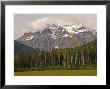 Forest With Mountiains, Robson Provincial Park, Canada by Keith Levit Limited Edition Pricing Art Print