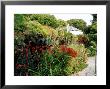 Hot Summer Border by Mark Bolton Limited Edition Print
