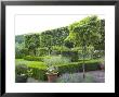 Paved Area Next To Clipped Hedges And Pleached Trees, Little Malvern Court Malvern Worcester by Mark Bolton Limited Edition Pricing Art Print