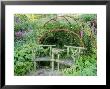 Willow Arbour Covered With Rosa Reine Des Violettes, Charles De Mills, Rosarie De Lhay by Carole Drake Limited Edition Print