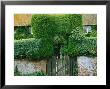 Hedge And Gate by Ann Kelley Limited Edition Print