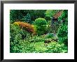 Large Informal Country Garden by Lynn Keddie Limited Edition Print